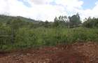 0.10 ac Residential Land at Lemiso Road - Kibiko - 2