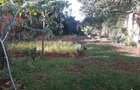 0.5 ac Land in Westlands Area - 2