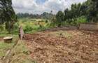 0.125 ac Land in Ruaka - 1