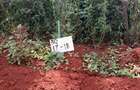 500 m² Land at Ruiru-Githunguri - 2