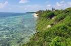 3.0 ac Land at Kuruwitu Beach - 1