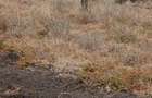 4 ac Land in Kiserian - 2