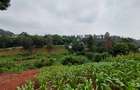 Residential Land at Kitisuru Ridge 44 - 19