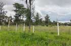 5 ac Land at Karen - 6