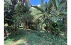 0.6 ac Land at Kitisuru Road - 2