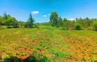 500 m² Residential Land at Runana Area - 8