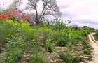 2,010 m² Residential Land at Second Row Kuruwitu Beach - 10