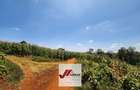 25 ac Land in Kitisuru - 5