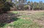 Residential Land in Ridgeways - 3