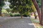 Commercial Property in Lavington - 2