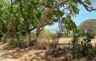 75 ac Land at Vipingo - 10