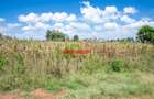 0.05 ha Residential Land at Kamangu - 3