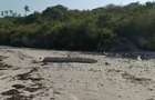 Land at Tiwi - 3