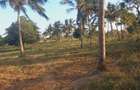 Land at Mavueni Kaloleni Road - 4