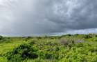 12 ac Land in Watamu - 17