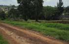 0.5 ac Land in Thome - 4