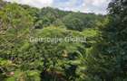 Furnished 2 Bed Apartment with En Suite in Gigiri - 1