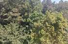 4 Bed Townhouse with En Suite at Kitisuru Rd - 5