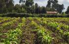 Land at Limuru Road - 8