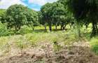 Land at Mtwapa - 17