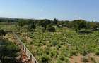 Land in Vipingo - 1