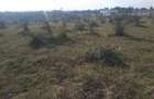 1 ac Land in Ongata Rongai - 5
