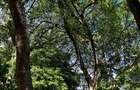 8,093.72 m² Land at Mtwapa Creek Aloo Drive - 4