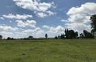 21 ac Land in Cianda - 4