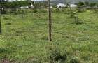 Land in Ongata Rongai - 5