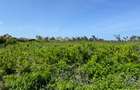 Land in Watamu - 11