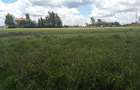 0.1 ha Residential Land in Ongata Rongai - 5