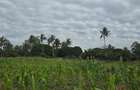 6 ac Land at Bomani - 11