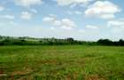 Residential Land in Runda - 4