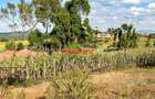 Residential Land at Kamangu - 5