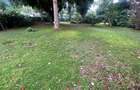5 Bed House with En Suite in Gigiri - 8
