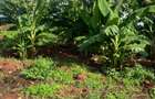 Land in Embu - 8