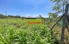 0.125 ac Residential Land at Kamangu - 10