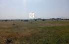 0.125 ac Land at Juja Farm - 4