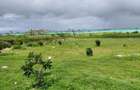 15 ac Residential Land at Jacaranda - 6