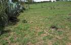 4 ac Residential Land in Kiserian - 1