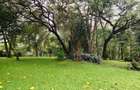 1.05 ac Land at Lavington Green - 2