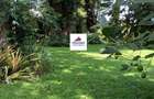 1.1 ac Land in Runda - 3
