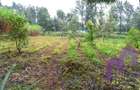 0.5 ac Land at Karen Road - 4