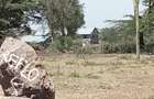 1 ac Residential Land at Namanga Road - 9