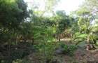 Land at Off Diani Beach Rd - 10