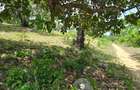 1.2 ac Land at Mtwapa Creekside - 17