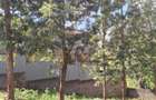 0.125 ac Residential Land at Runda - 2