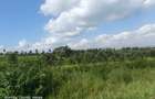 Land at Tigoni - 16