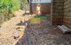 Commercial Property in Westlands Area - 3