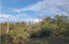 10 ac Land in Nanyuki - 3